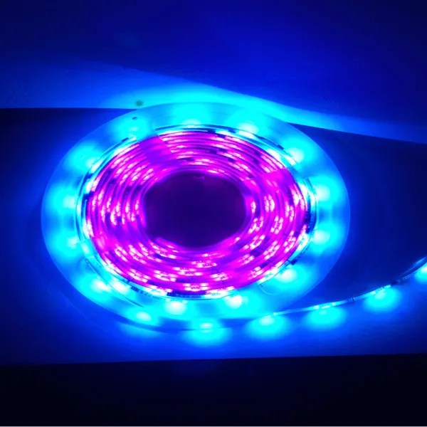 5M Flag Pole Pre-Set Digital Led Dream Lights Strip