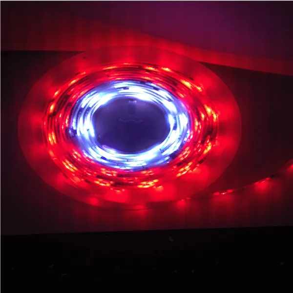 5M Flag Pole Pre-Set Digital Led Dream Lights Strip