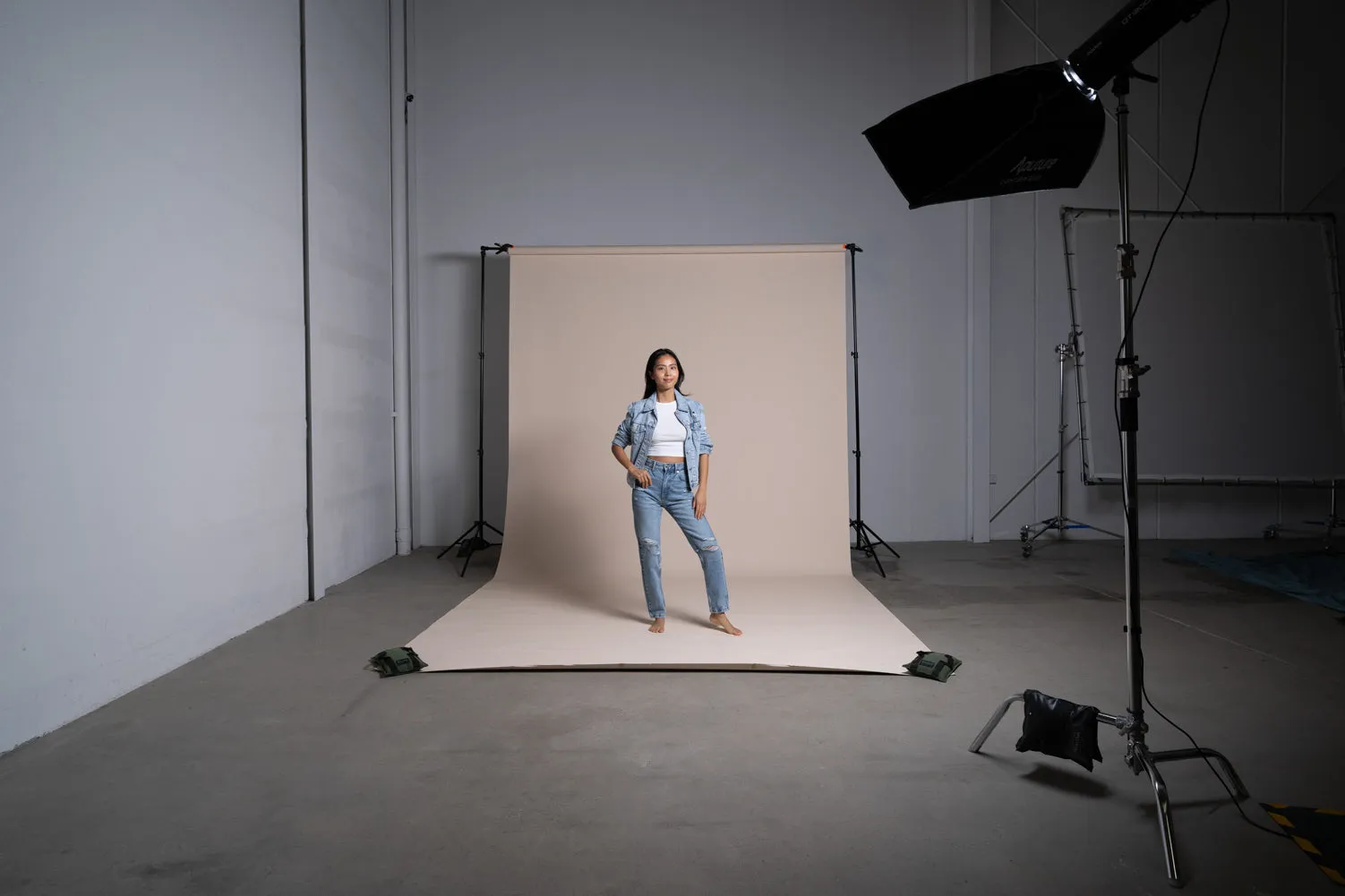 Aputure Light Box 30 x 120cm Includes Grid And Carry Bag