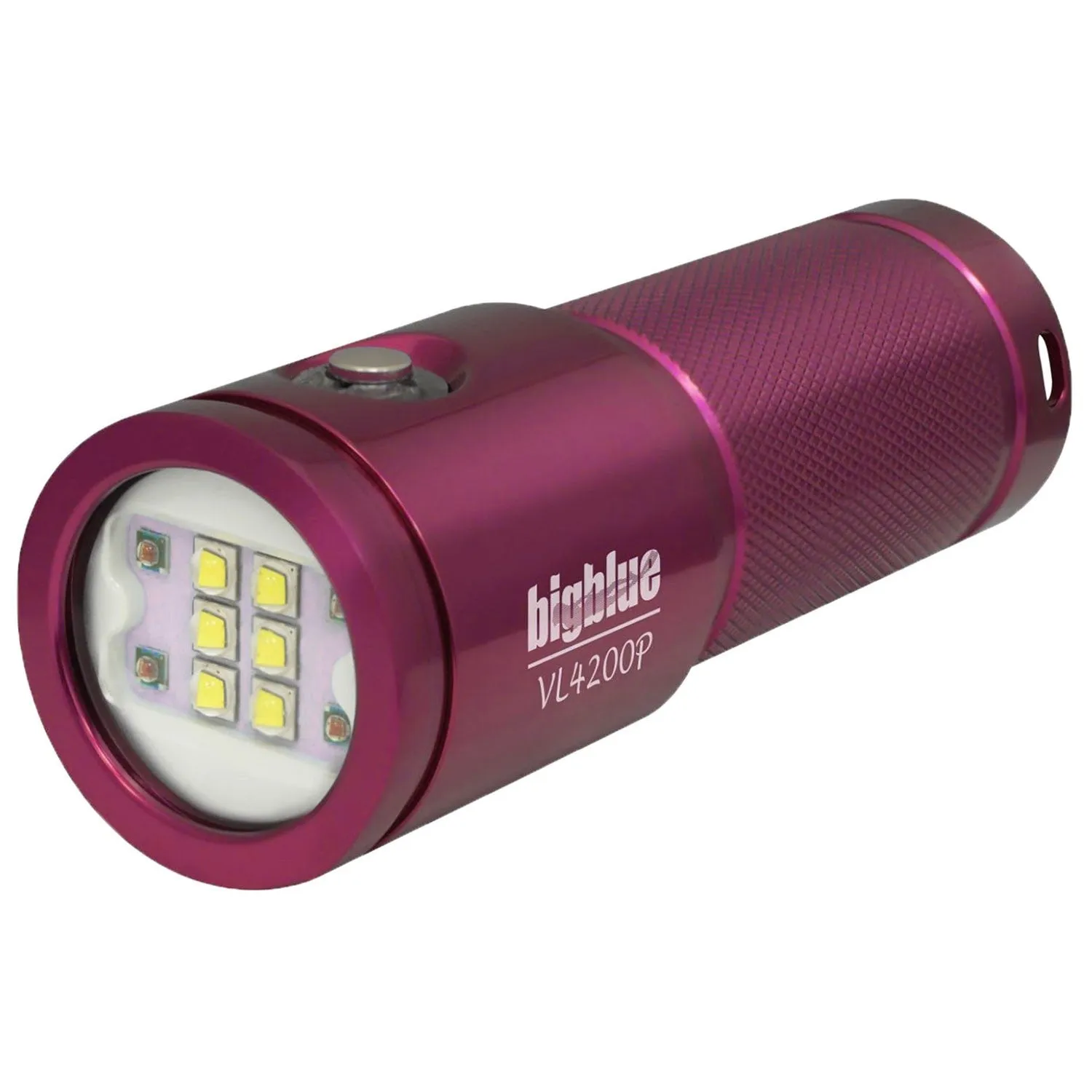 BigBlue VL4200P 4200-Lumen Video Light