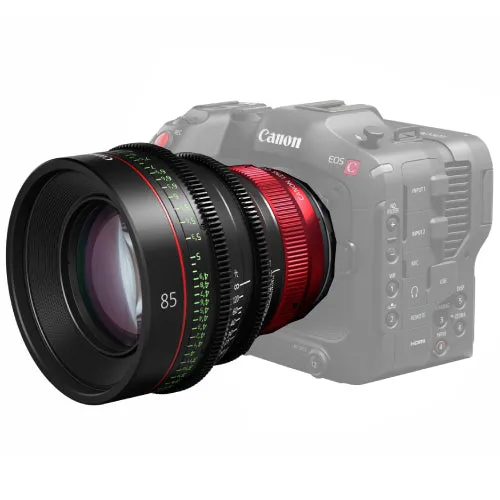 Canon CN-R85mm T1.3 L F Cinema Prime Lens - RF Mount