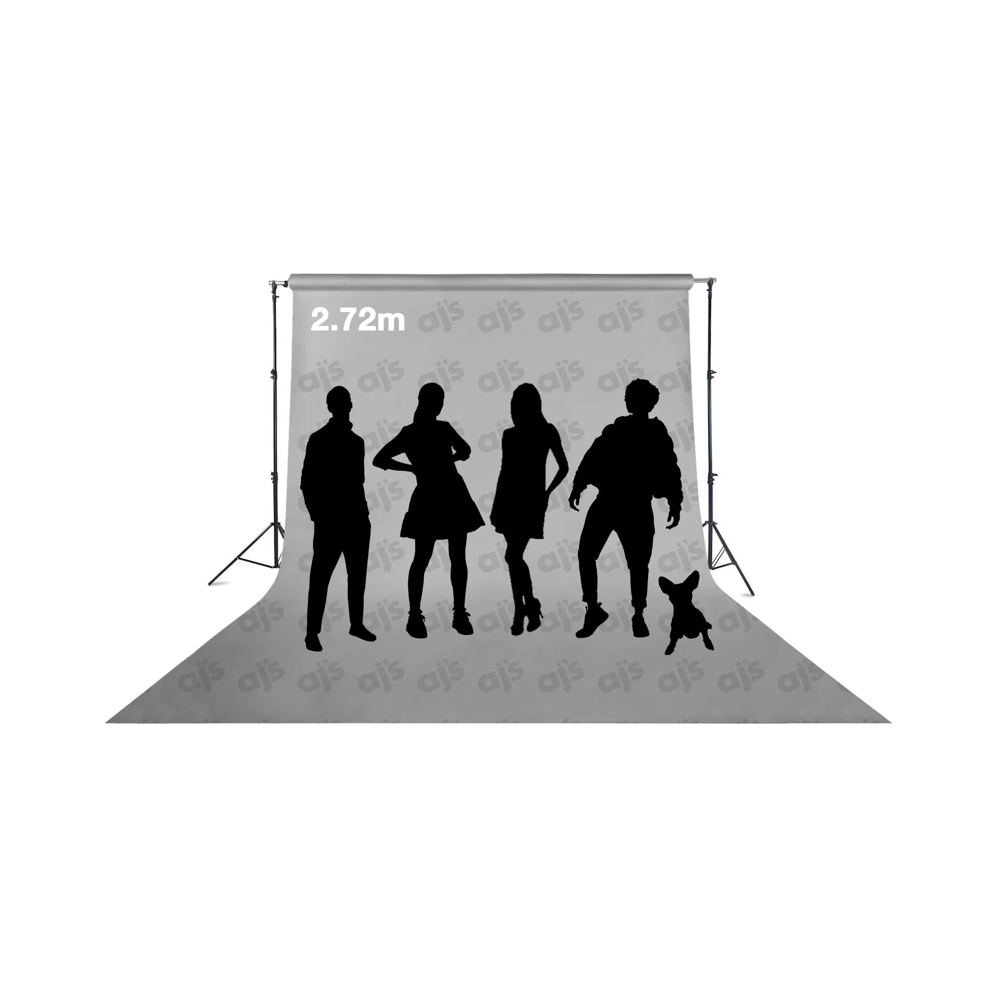 Colorama 1.35 x 11m (53" x 36ft) Platinum Background Paper