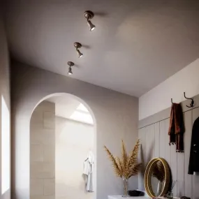 Decorative Brass Wall or Ceiling Light