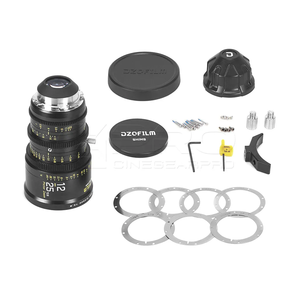 DZOFILM Pictor Zoom 12-25mm T2.8 Super35 Cinema Lens (PL&EF interchangeable Mount, Black)