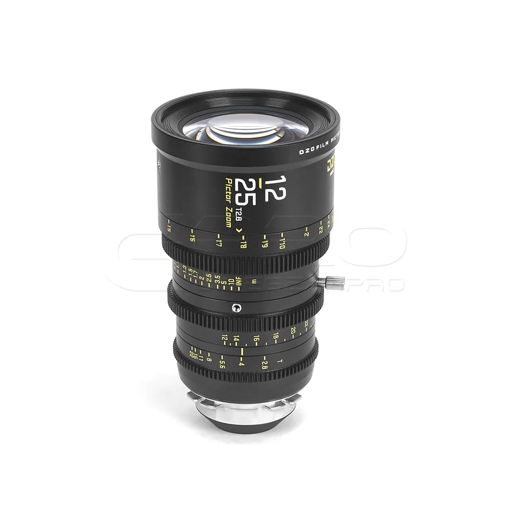 DZOFILM Pictor Zoom 12-25mm T2.8 Super35 Cinema Lens (PL&EF interchangeable Mount, Black)