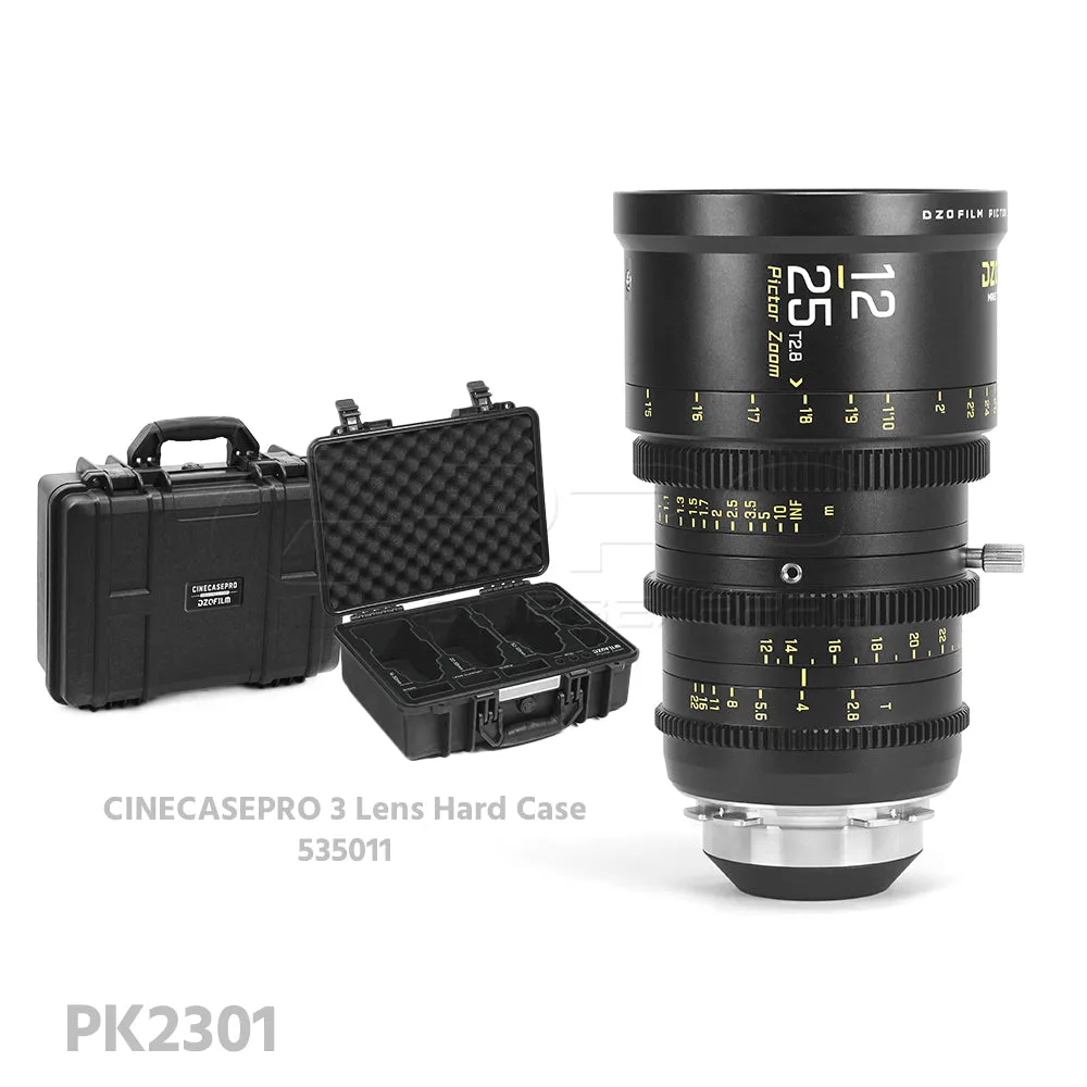 DZOFILM Pictor Zoom 12-25mm T2.8 Super35 Cinema Lens (PL&EF interchangeable Mount, Black)