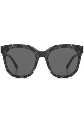 Gia Sunglasses in Espresso Tortoise/Grey