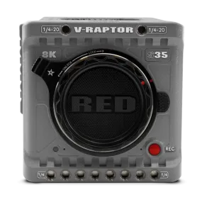 RED V-RAPTOR RHINO 8K S35