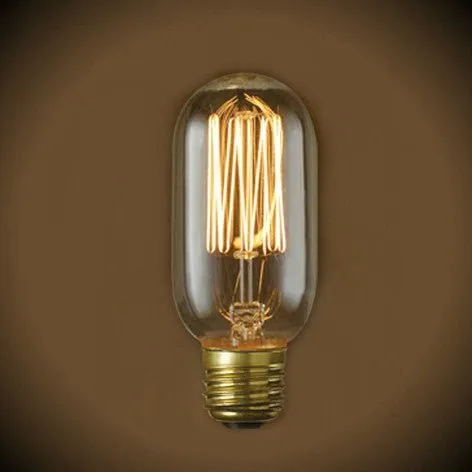 Vintage Light Bulb Squirrel Cage Filament T14 - 40 Watt - Clear
