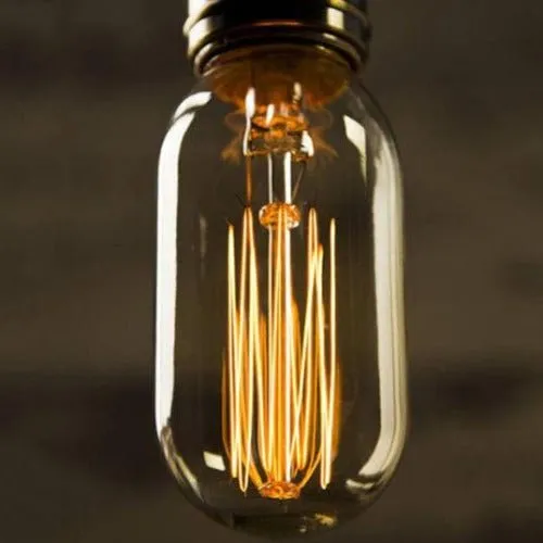 Vintage Light Bulb Squirrel Cage Filament T14 - 40 Watt - Clear