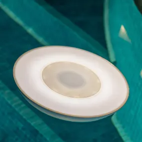 Wireless Swimming Pool Speaker PLAY DISK 40